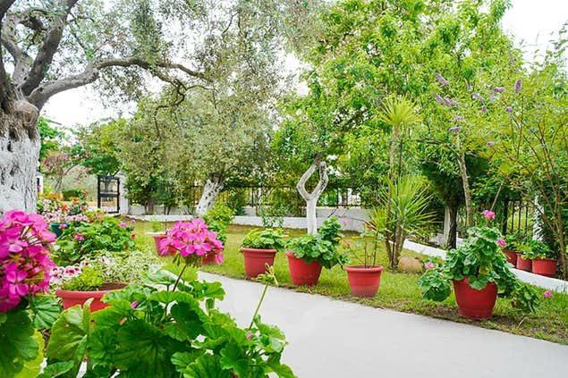 Studios Panagiotas House أستريس المظهر الخارجي الصورة
